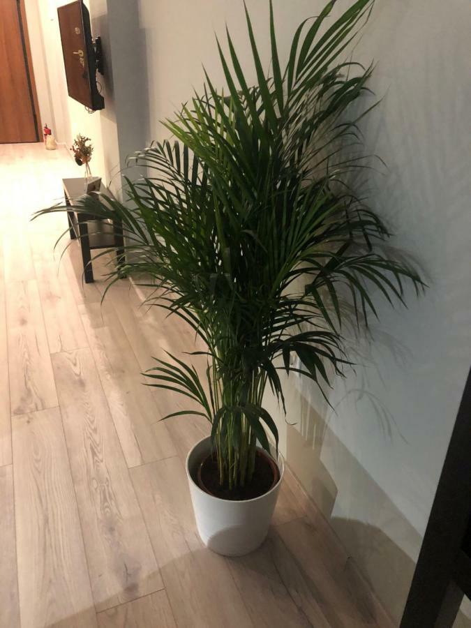 District 01-Luxury Urban Lofts Apartment Tesalonika Bagian luar foto
